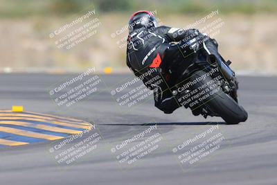 media/Oct-01-2023-SoCal Trackdays (Sun) [[4c570cc352]]/Turn 14 Backside (1120am)/